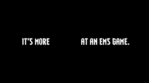 Baseball Ems GIF by Eugene Emeralds