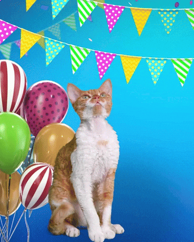 Celebrate Happy Birthday GIF