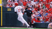 Baseball Mlb GIF by Cincinnati Reds