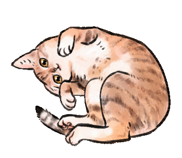 Cats Sticker