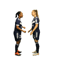 Football Soccer Sticker by FC Girondins de Bordeaux