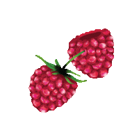 Berry Raspberry Sticker by DeeBee's