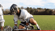 vwu_marlins marlins vwu wethebeach virginiawesleyan GIF