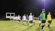 vwu_marlins marlins vwu wethebeach virginiawesleyan GIF