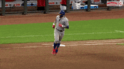 Cubs GIF by Marquee Sports Network