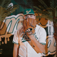 South Florida Baseball GIF by USF Athletics
