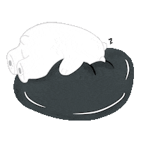 Bear Shar Sticker