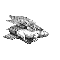 LaProsciutteria la prosciutteria laprosciutteria laprosciutteriafirenze la prosciutteria firenze Sticker