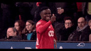 happy fai GIF by Standard de Liège