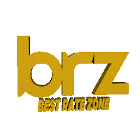 brzinsurance brazil insurance seguros brz Sticker