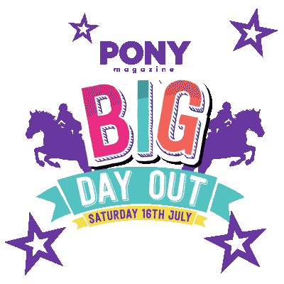 Big Day Out Sticker by PONY mag