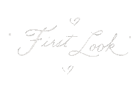 First Look Wedding Sticker by Dani Ford
