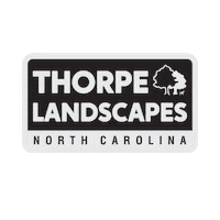 ThorpeLandscapes thorpe thorpelandscapes thorpe landscapes Sticker