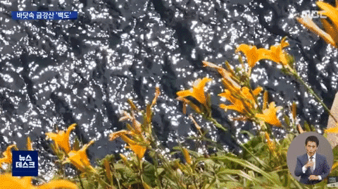 qwerpoiu22ppop giphyupload GIF