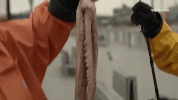 action bronson fishing GIF by F*CK, THAT'S DELICIOUS
