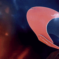 Swimming GIF by Lomo Watersport