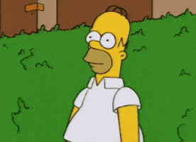 Meme gif. Homer Simpson, wide-eyed and expressionless, recesses backward as if on a conveyor belt, disappearing into the bushes.