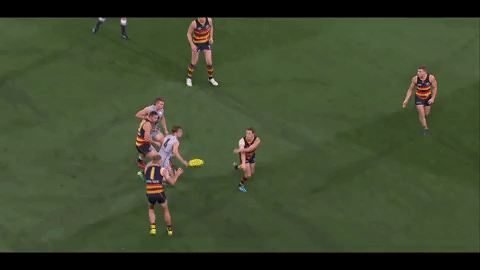 afl greenwood GIF by Adelaide Crows