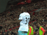 Premier League Football GIF by West Ham United