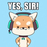 Saluting Aye Aye GIF by WUFFI