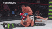 Stop It Lets Go GIF by Bellator