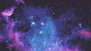 johnbeckers cat space pizza cats GIF