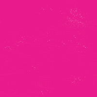 Digital art gif. Against a hot pink background, the words, "Our bodies, our futures, our abortions," appear in angry white all-caps letters.