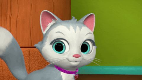 Dance Cat GIF by Moonbug
