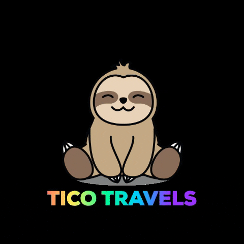 Sloth Tico GIF by Explorica Educational Travel