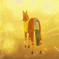 Star Winning GIF by kiin.