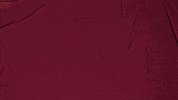 College Baseball GIF by Pearl River Athletics