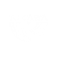 Techno Techhouse Sticker by Cano Events