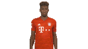 Posing Fc Bayern Sticker by Bundesliga