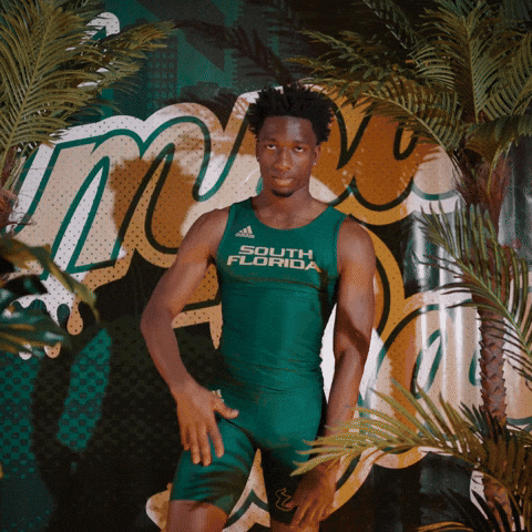 South Florida Horns Up GIF by USF Athletics
