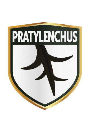 Praty Sticker by FT SEMENTES