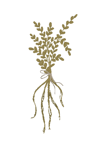 Spring Plants Sticker