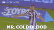 football celebration GIF by PAOK FC