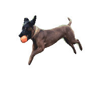 Итон Sticker by Romtat Farm