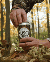 Happy Hour Cheers GIF by Busch Beer