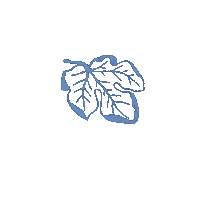 Leaf Feuille Sticker