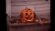 scottok halloween trick or treat jack o lantern home movies GIF