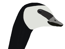 Excuse Me Reaction Sticker by leeamerica