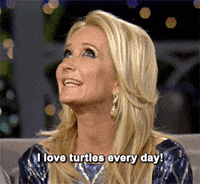 real housewives turtles GIF by RealityTVGIFs