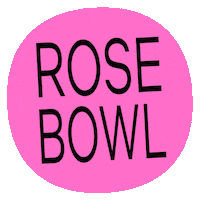 Los Angeles Comedy Sticker by NETFLIX