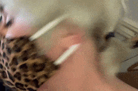 You Talking To Me What GIF by Kilo Sale Zeeland