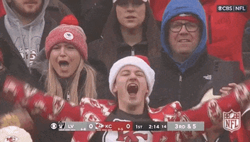 Kansas City Chiefs Football GIF by NFL