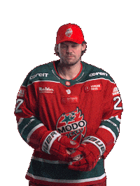 Sticker by MoDo Hockey