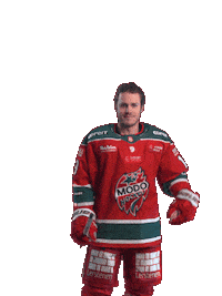 Sticker by MoDo Hockey