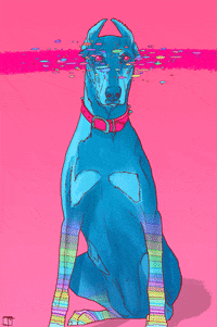 good vibes dog GIF by Phazed