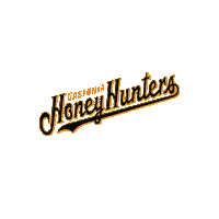 North Carolina Baseball Sticker by gohoneyhunters